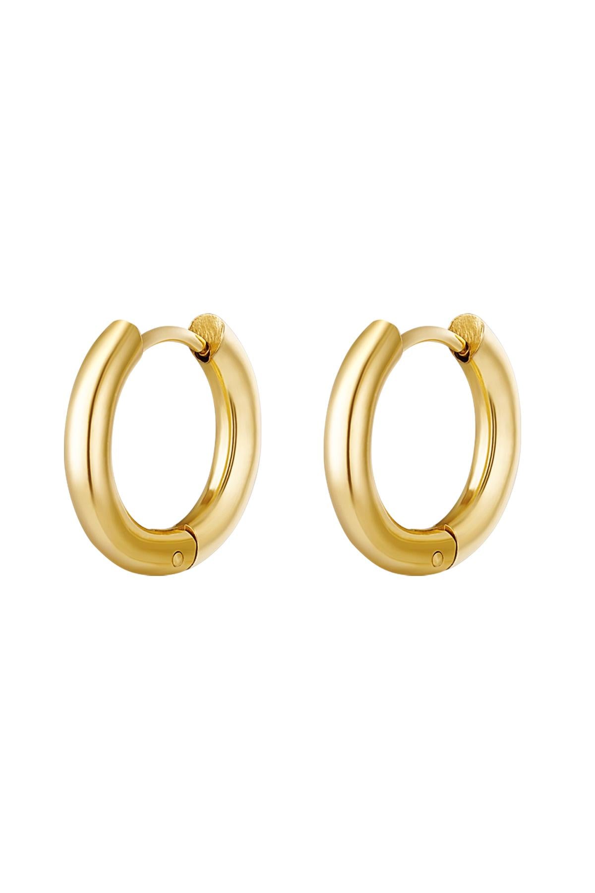 Oorbellen rond basic L - goud RVS