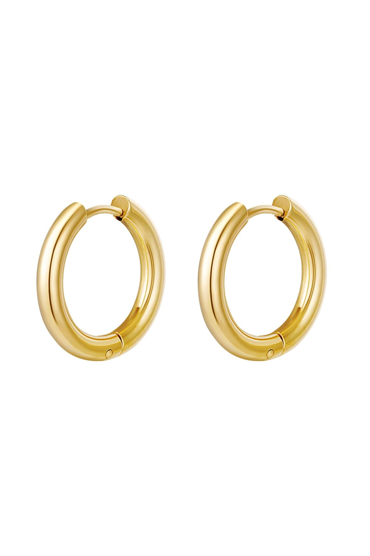 Oorbellen rond basic XL - goud RVS