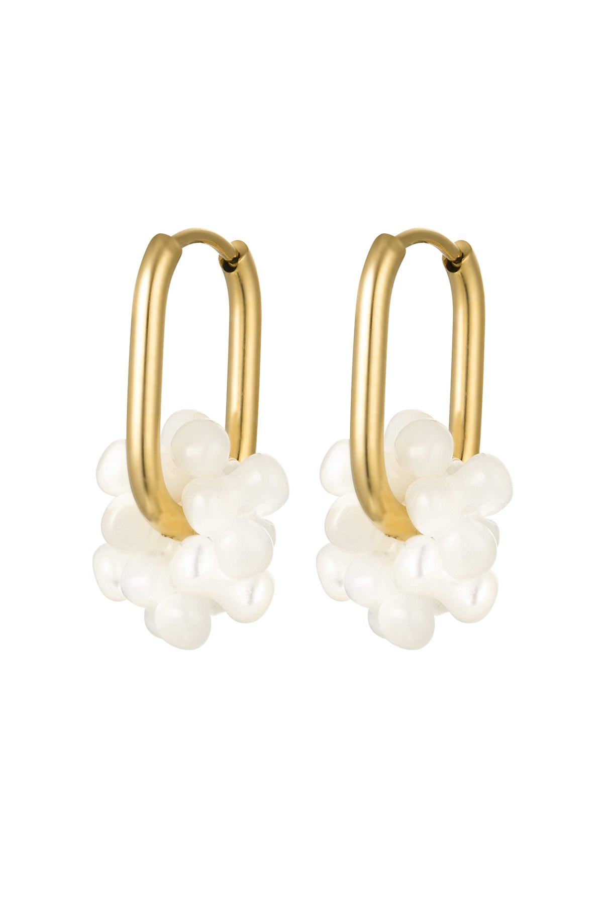 Oorbellen met schelp bloem - goud RVS