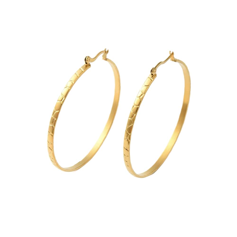 Small hoops oorbel goud