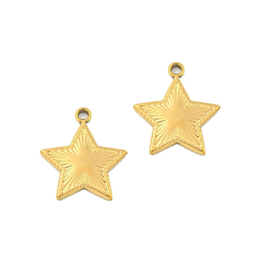 (per stuk) Roestvrij stalen (RVS) bedel ster goud - 20x18mm