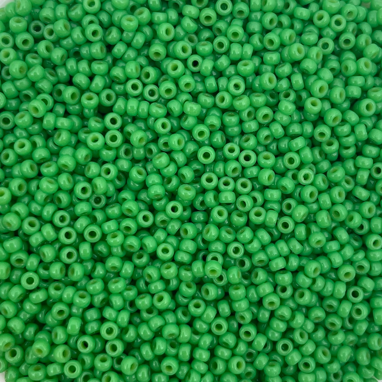5gram Miyuki rocailles 11/0 (2mm) Duracoat opaque dyed fiji green - 4476