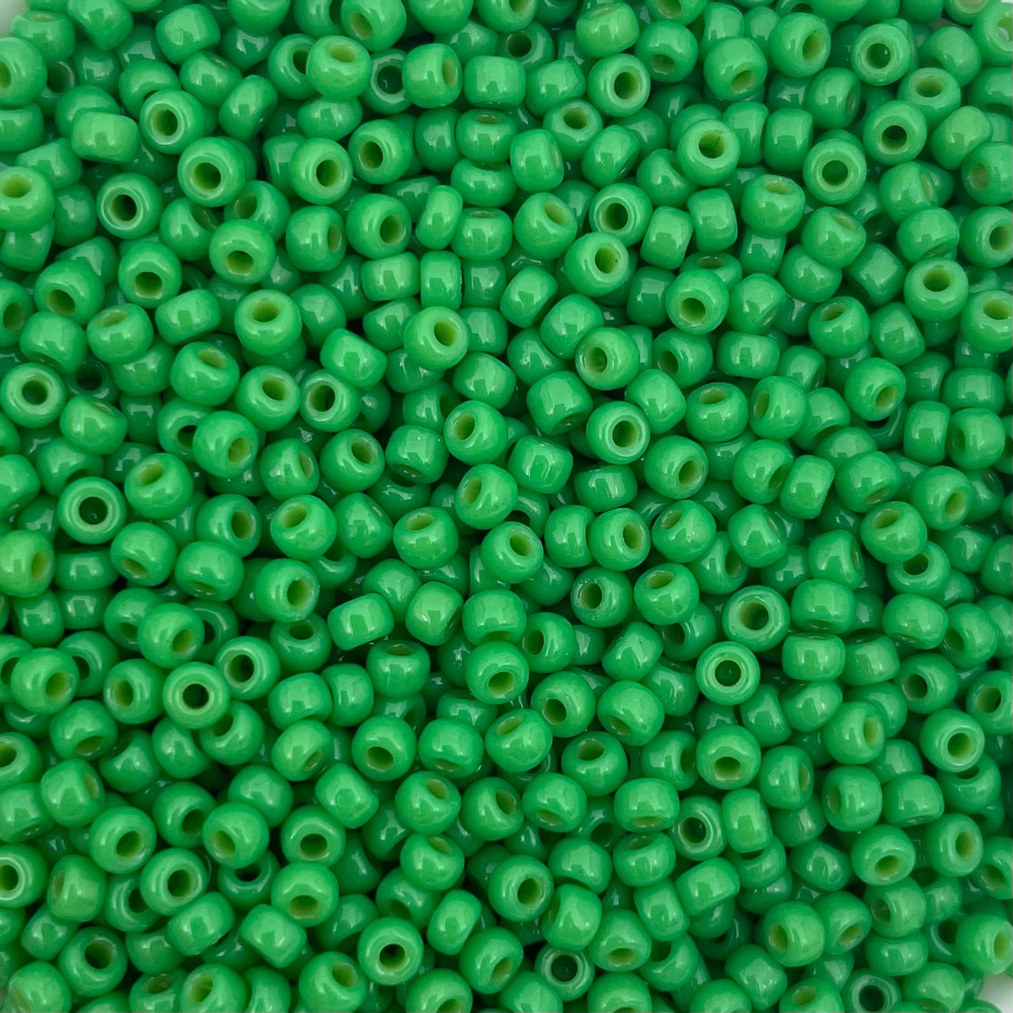 5gram Miyuki rocailles 8/0 (3mm) Duracoat opaque dyed fiji green - 4476