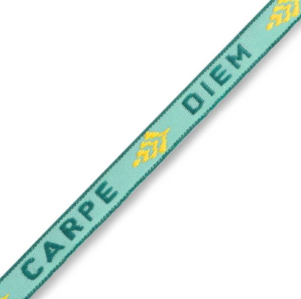 (per meter) "Carpe Diem" lint groen geel - 10mm